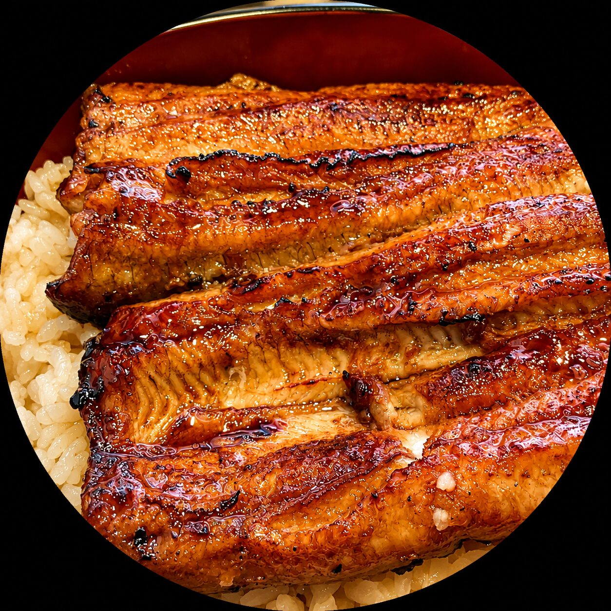 Eel Unagi