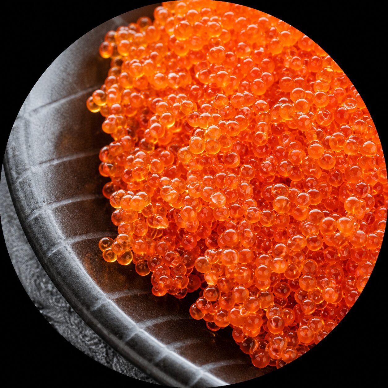 Flying fish Roe Tobiko