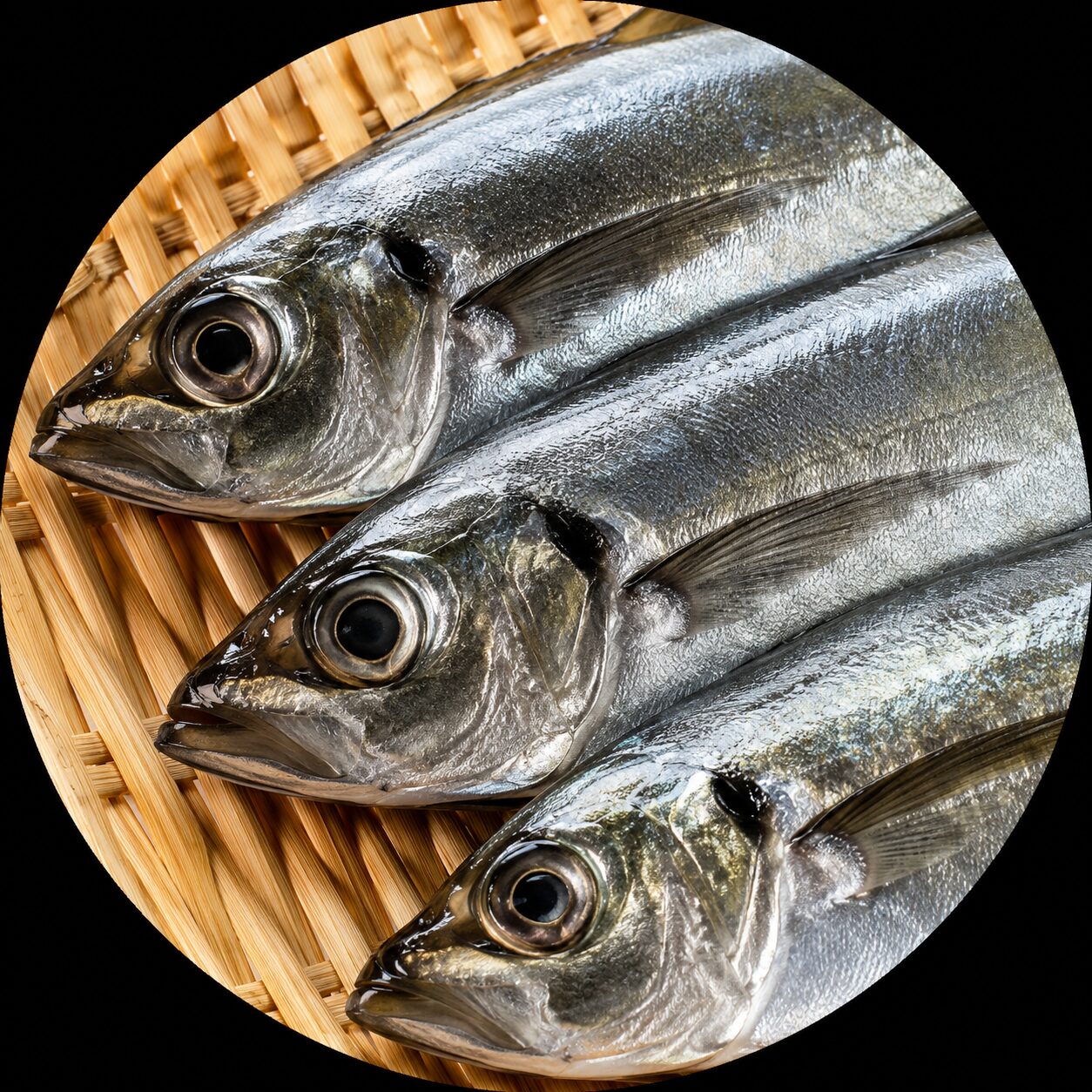 Japanese Horse Mackerel Aji