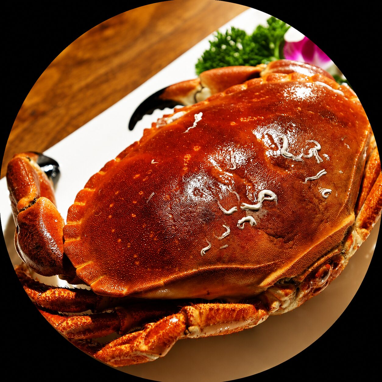 King Crab Tarabagani