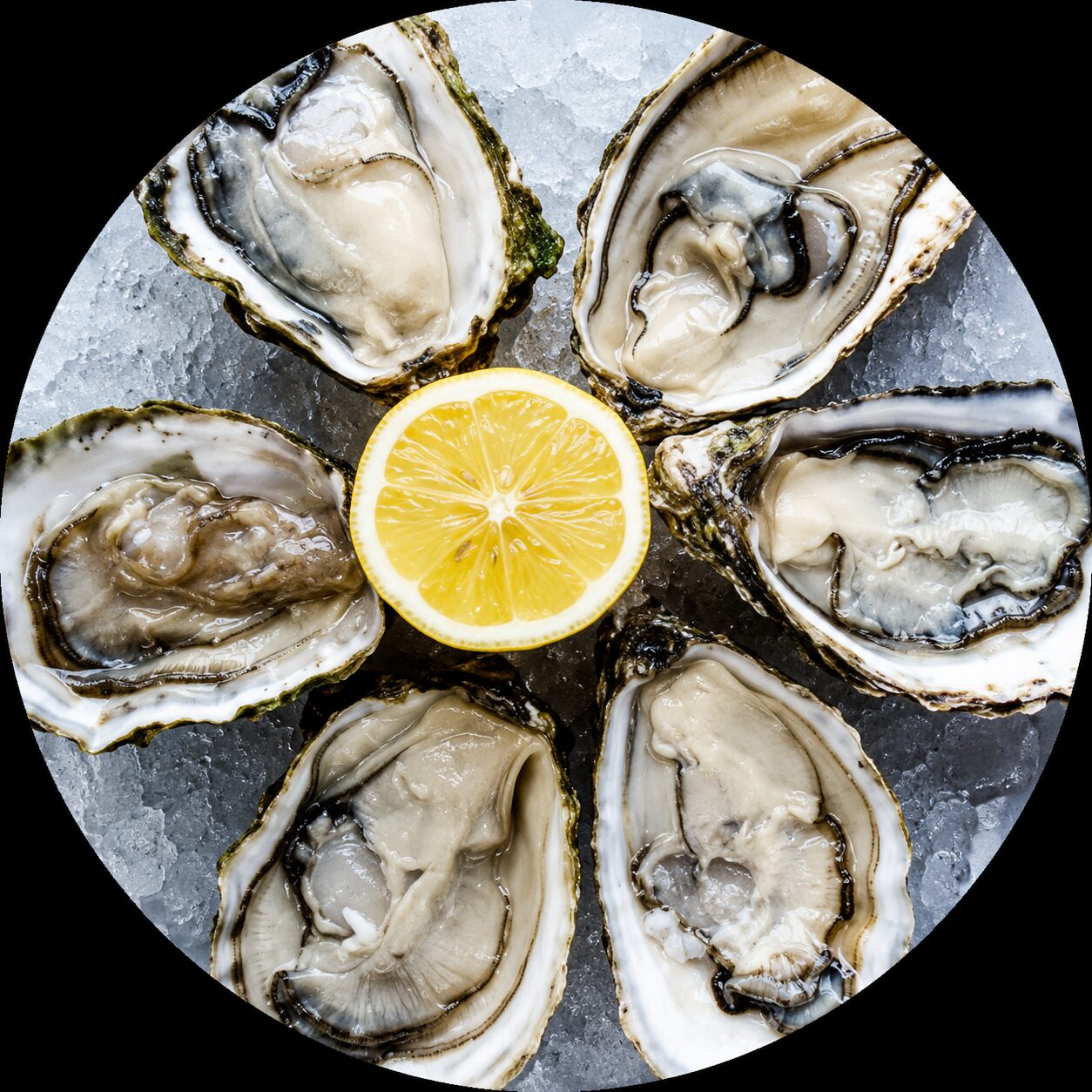 Kumamoto Oyster