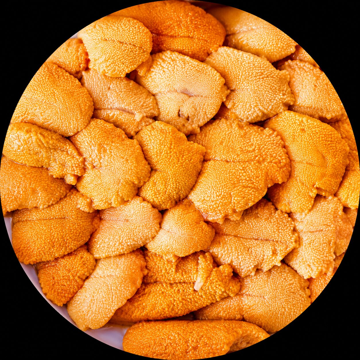 Premium Santa Barbara Uni