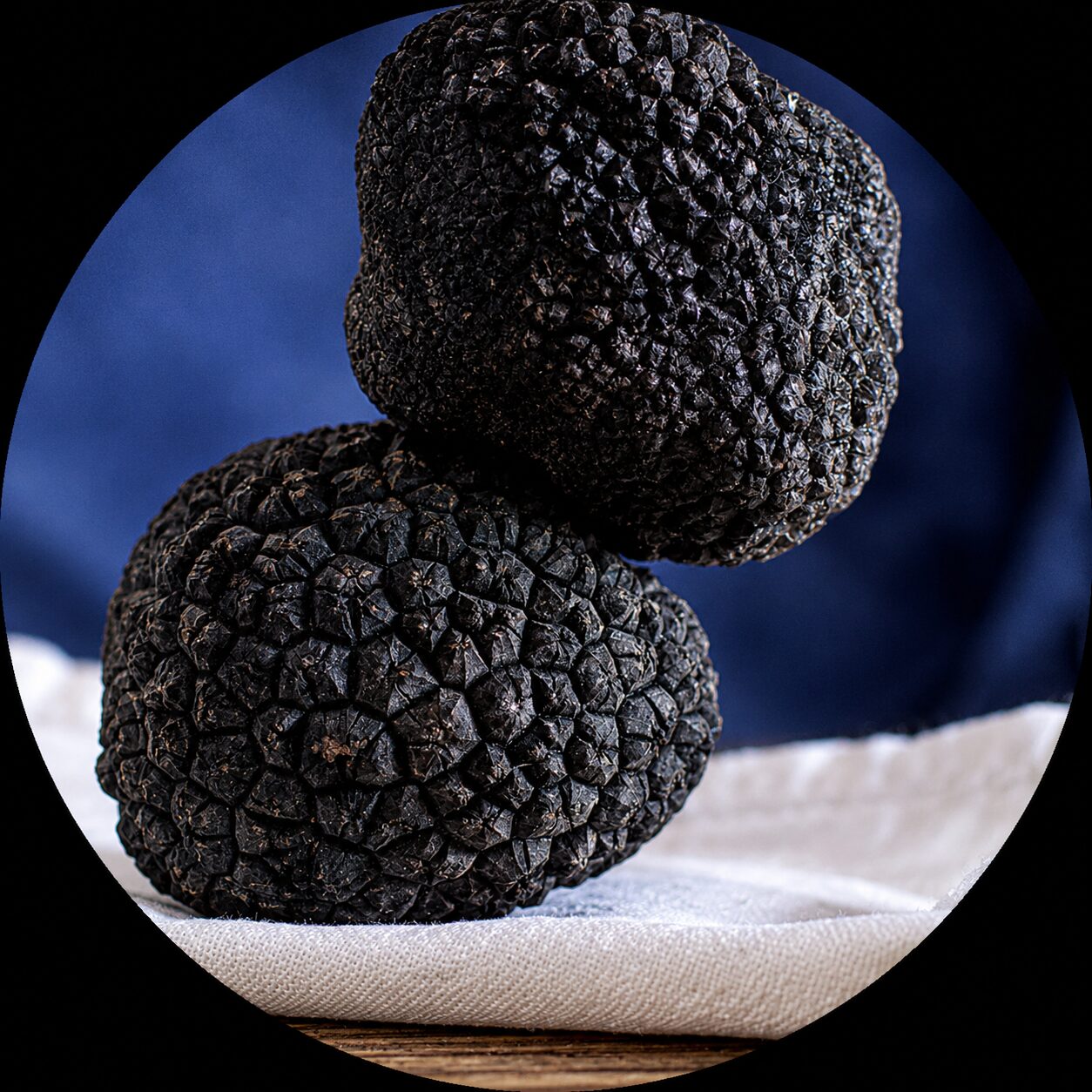 Truffle